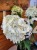 Hortensja bukietowa SKYFALL - Hydrangea paniculata C5l