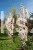 prunus.jpg