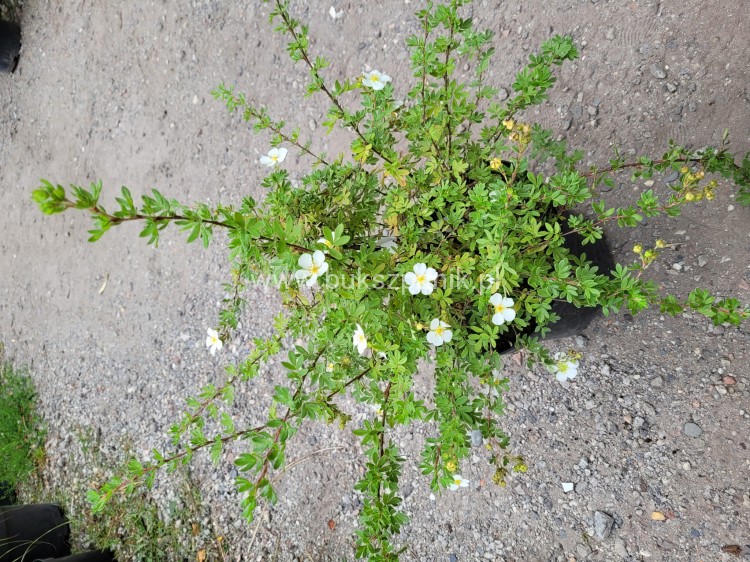 20220813_115243.jpg