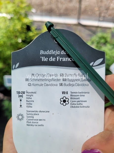 il de france 444.jpg