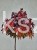 Ambrowiec amerykański Gum Ball- Liquidambar styraciflua- f. pienna
