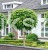 Catalpa Katalpa Nana kuliste drzewo obw. 8-10cm Pa200-220cm