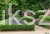 Bukszpan wieczniezielony- gryszpan  kulka  Buxus sempervirens