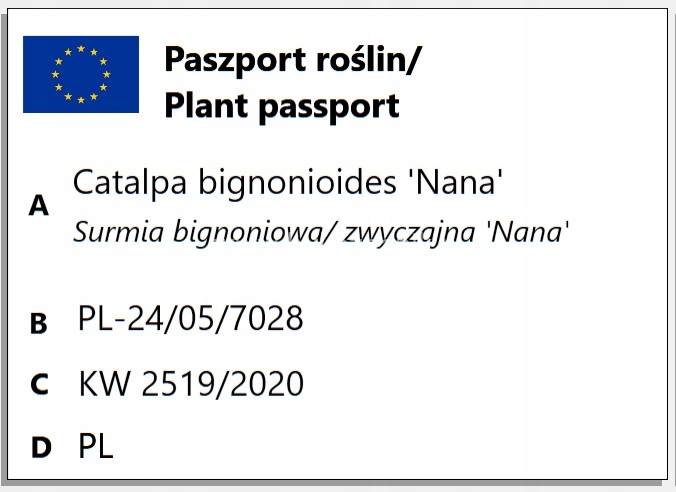 c19a6f1242e69ddd8c7f278aa107