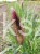 ea38f79c417da8bb7e670a94ce91