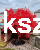 osakazuki.PNG