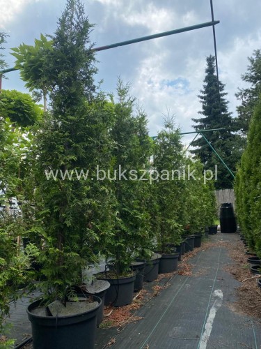 a0d31df74ef6937b172763f6b08f