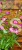 WhatsApp Image 2023-06-27 at 21.17.20.jpeg