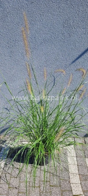 20230929_113520.jpg