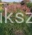 Miskant chiński Red Chief - Miscanthus sinensis Red Chief