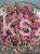 Rozchodnik 'Sunsparkler Dazzleberry' Sedum