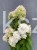 Hortensja bukietowa LIMELIGHT- Hydrangea paniculata PA