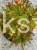 Świerk pospolity RYDAL - Picea abies wys. 60-70cm