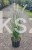 20241002_150745.jpg