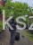 Platan klonolistny - DACH, Pa 200-220