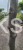 Lipa holenderska PALLIDA - Tilia europea ob 10-12m