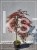 Klon palmowy 'Orangeola'- Acer palmatum PA70 Ob 8-10cm (