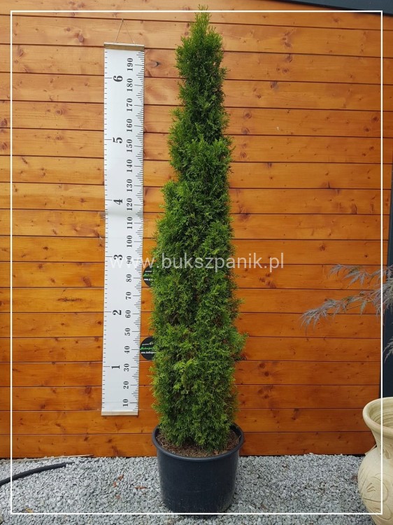 ab7045054464b70e643d761ec511