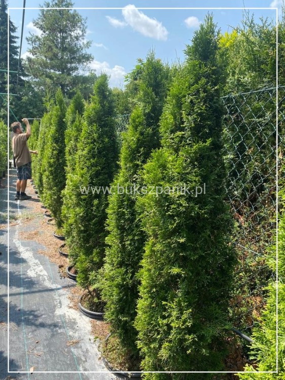 1d5d747b4a6ab4f07e27c51077aa