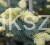 Świerk kłujący Białobok- Picea pungens