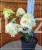 Hortensja bukietowa SKYFALL - Hydrangea paniculata C5l