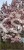 Magnolia soulangeana SATISFACTION - C10, 140cm