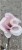 Magnolia soulangeana SATISFACTION - C10, 140cm