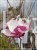 Magnolia pośrednia- Magnolia x soulangeana Rustica Rubra