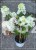 WhatsApp Image 2024-08-12 at 21.14.33.jpeg