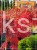 Klon palmowy GARNET- Acer palmatum Garnet PA70-90cm