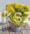 20241030_112538.jpg
