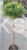 Sosna kosodrzewina BENJAMIN Pa 85-95/15-20cm - Pinus mugo