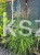 0b654abb41c183de6dcc1c381255