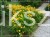 IMG-20190611-WA0007.jpg