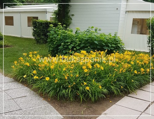IMG-20190611-WA0009.jpg