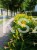 IMG-20190611-WA0010.jpg