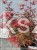 Klon Palmowy Shaina-Acer palmatum Shaina