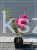 Róża okrywowa różowa- rosa