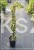 Bluszcz pospolity 'Goldheart'- Hedera helix