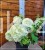 Hortensja bukietowa BOBO - Hydrangea paniculata C5