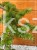 Modrzew europejski Formowany " S" C12l BONSAI