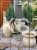 Cyprysik Lawsona Columnaris - Chamaecyparis lawsoniana - Pa75cm