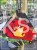 Róża KETCHUP & MUSTARD 'Wekzazette'PA110cm