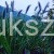 Piórkówka/Rozplenica japońska 'Black Beauty' Pennisetum alopecuroides C5
