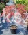 Klon palmowy 'Garnet'- Acer palmatum PA110-130/40-60cm C12l