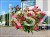 Krzewuszka cudowna Weigela florida BRISTOL RUBY PA czerwona