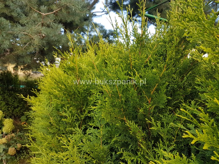 20200902_165752.jpg