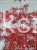 Klon palmowy GARNET- Acer palmatum Garnet ob 8-10cm
