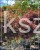 Klon Palmowy Shaina- Acer palmatum PA70-90cm, / 40-60 C5