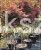 Klon Palmowy Shaina- Acer palmatum PA70-90cm, / 40-60 C5